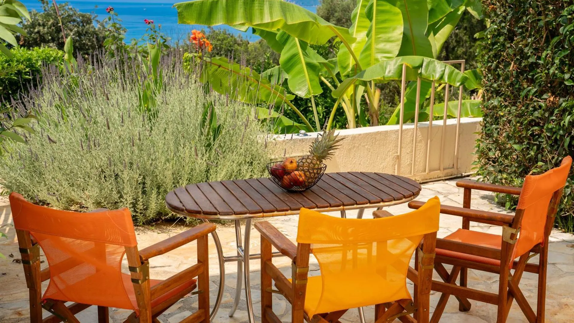 Agnanti Studios Lourdata  Apartment